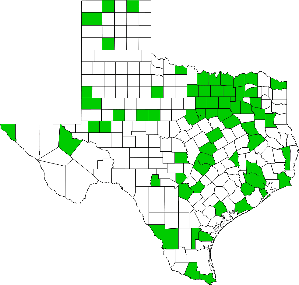 Mean Green Scholarship Fund members in Texas